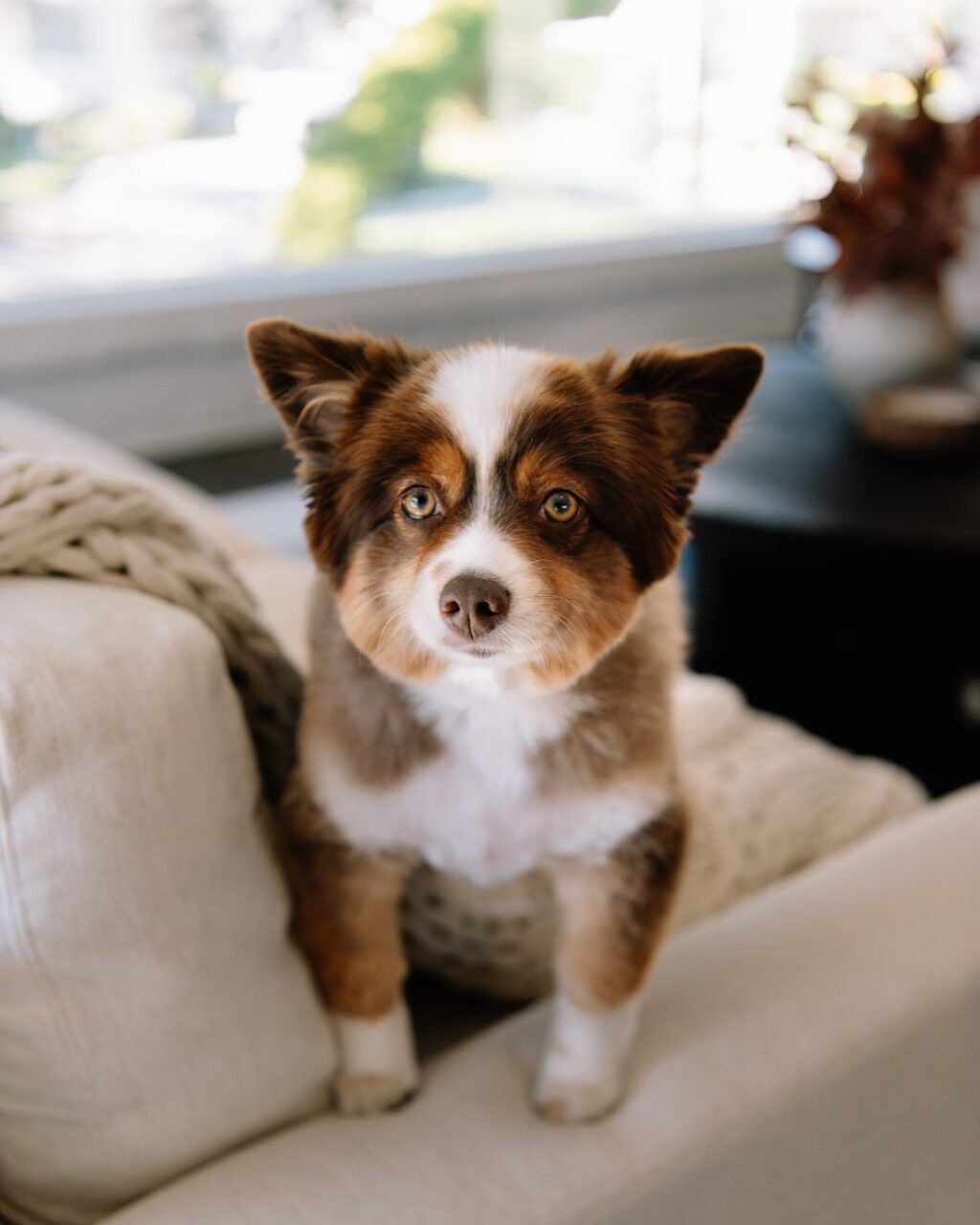 Instagram post from cottrill_creatives. This post is in position 5.